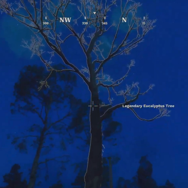 File:Legendary eucalyptus tree.png